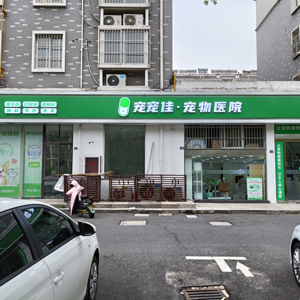 杨泽东