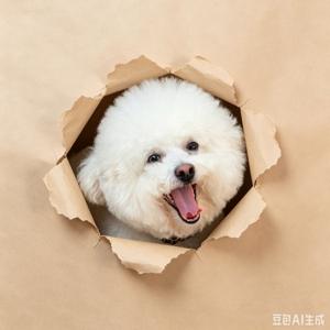 吴贤伟