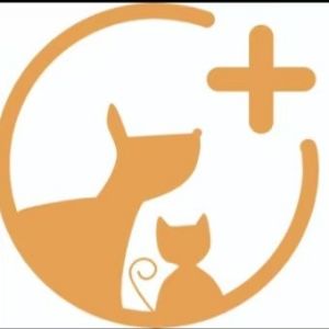 艾妮猫