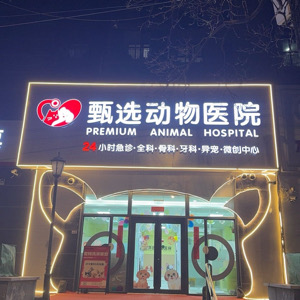李老师