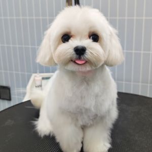 齐少寒