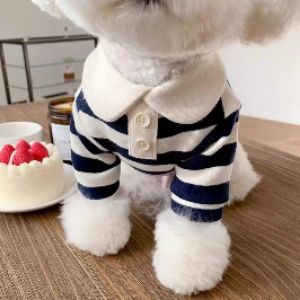 刘小姐