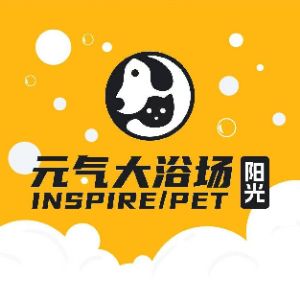 杨女士