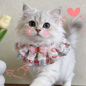 胡奕