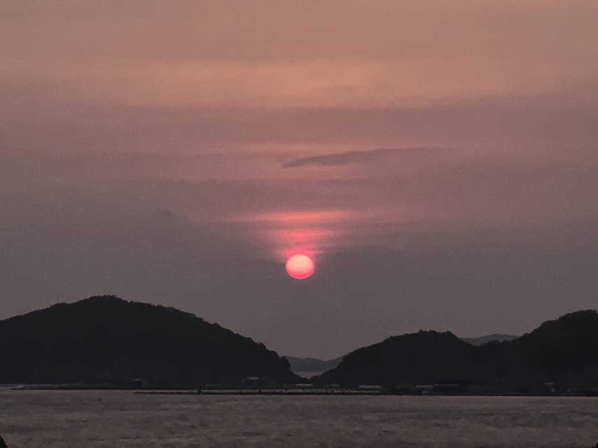 张先生
