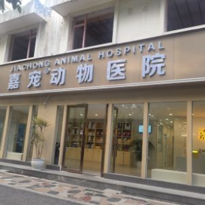 刘帅