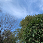 小智 · 老板