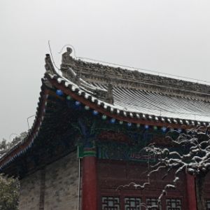 纪执达