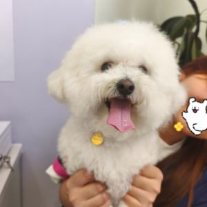 徐新礼 · 院长
