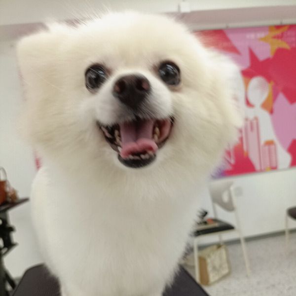 酱酱
