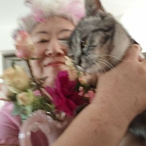 程茜