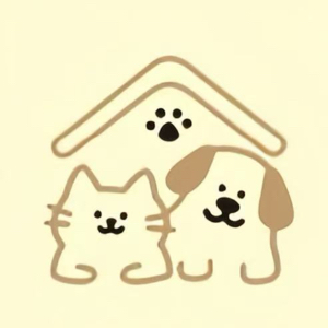 赵雪