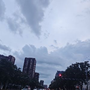 刘羊