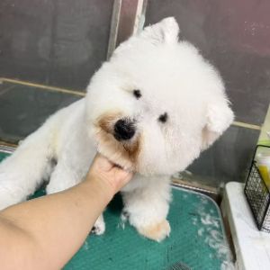 李娜 · 经理