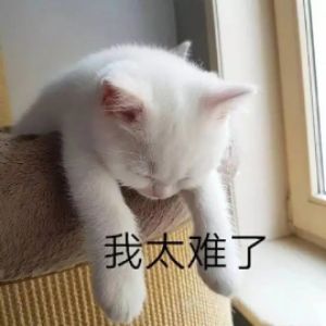 孟黎黎