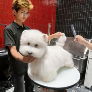 潘兴