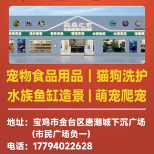 王海姣