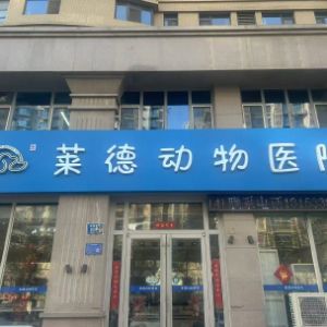武