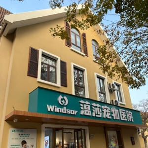宕欧