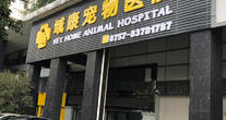 域康动物诊疗机构（广州、佛山）