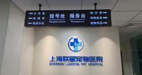 上海市联星宠物诊疗中心