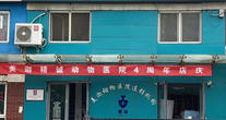 北京美迦动物医院连锁机构