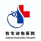 张先生