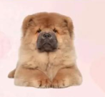 王满菊 · 人事经理