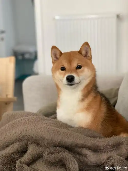 孙