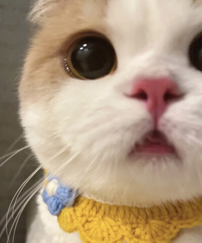 龙玉洁 · 招聘专员