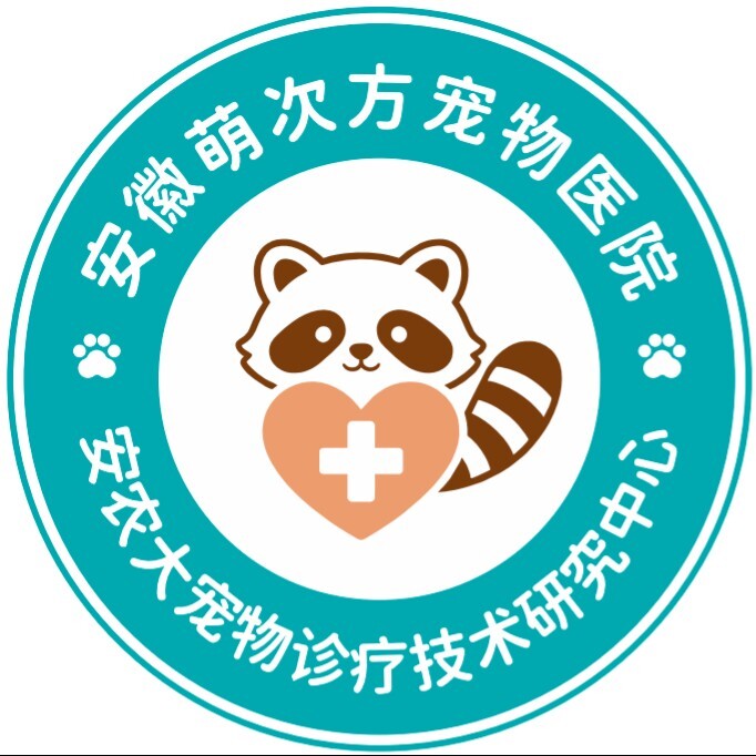 苏婉婷